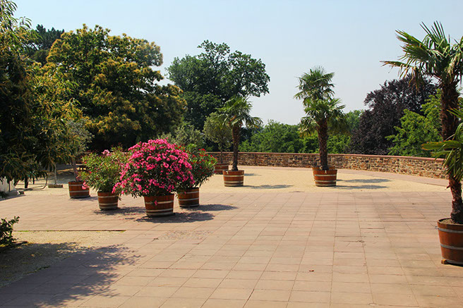 Schlosspark Bad Homburg